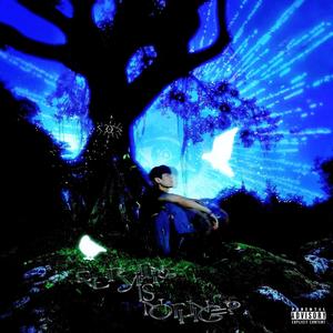 #cmt - In My Eyes