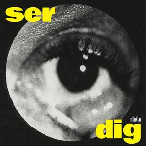 ser dig (Explicit)