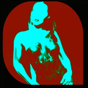 Shakin' (Original Mix)