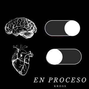 EN PROCESO