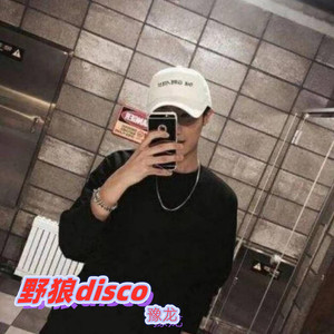 野狼disco