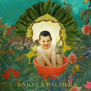 Bajo La Palmera