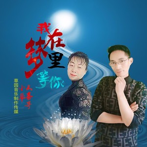 我在梦里等你