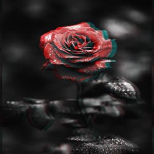 Tears in silence (Explicit)