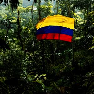 AQUECIMENTO GUARACHA NA SELVA (feat. DJ LOKO, MC Kalzin & Corvina Dj)