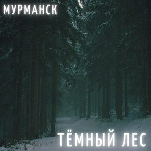 Тёмный лес