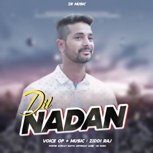 Dil Nadan