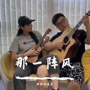 那一阵风
