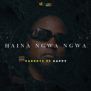 Haina Ngwa ngwa (Explicit)