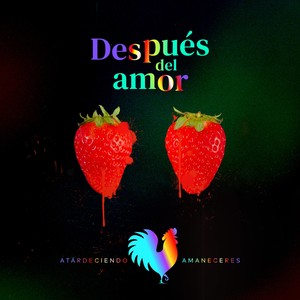 Después del Amor