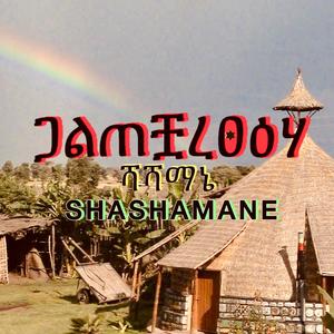 Shashamane