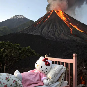 时间花在哪 花就开在哪
