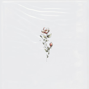 Любовь свечи