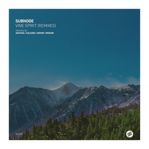 Souls Alike (Zaleski Remix)