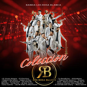 Cumbias Texanas (feat. Ricardo Ayala)