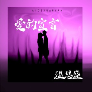 温思盛 - 爱的宣言 动感DJ版 (Remix)