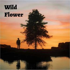 Wild flower (feat. Anja Schneider, Joris Voorn & Kölsch) (Explicit)