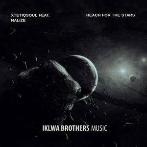 Reach For The Stars(feat. Nalize) (Orchestra Reprise Remix)