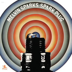 Spark Plug