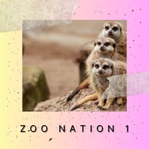 Zoo Nation 1