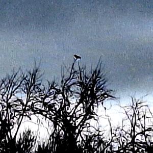 why do we talk at all