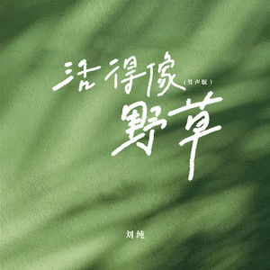 活得像野草-刘纯