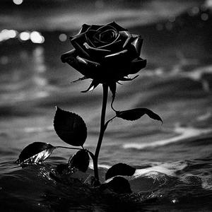 CONEXIÓN (Explicit)