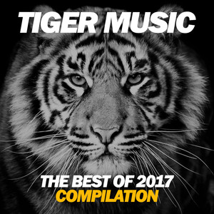 The Best Of Tiger Music 2017