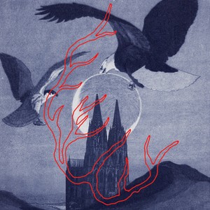 Peter und Wolf (Explicit)