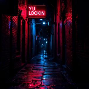 Y U Lookin (Explicit)