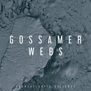 Gossamer Webs (feat. Deer Park Ranger & rhubiqs)