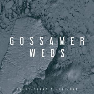 Gossamer Webs(feat. Deer Park Ranger & rhubiqs)