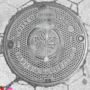 CPR 2 NYC (feat. David Neon)