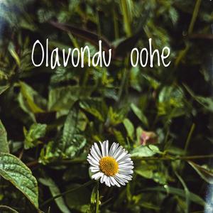 Olavondu oohe