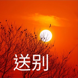 赵彤刚 - 送别