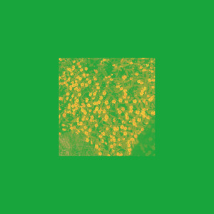 evergreen (Explicit)