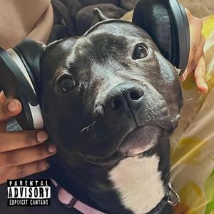 Boost (feat. T.R.E.K. & P Dub|Explicit)