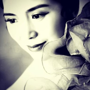 花儿  为什么这样红