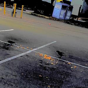 Downfall(feat. 1k Prince) (Explicit)