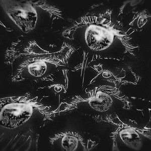 Gun and Smoke II (Explicit)