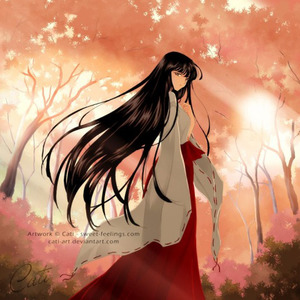 時代を越える想い (穿越时空的思念) (桔梗 remix)