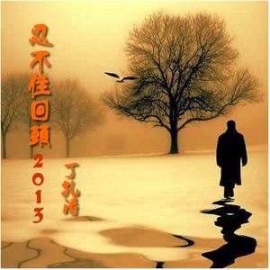 为何情歌都是苦的