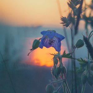 Day Is Over (Original Mix)