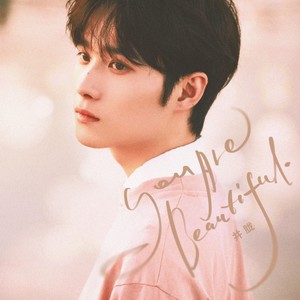 井胧《You are beautiful》[MP3_LRC]_MP3下载