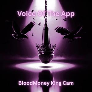 Voice Of The App (Explicit)