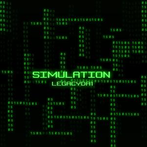 Simulation