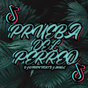 Prueba Del Perreo