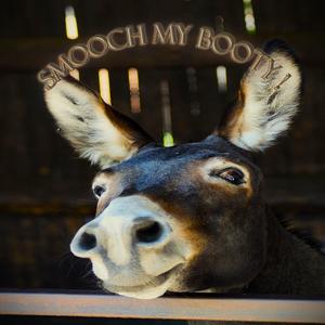 Smooch My Booty (feat. Alabama Harper Jonez) (Explicit)