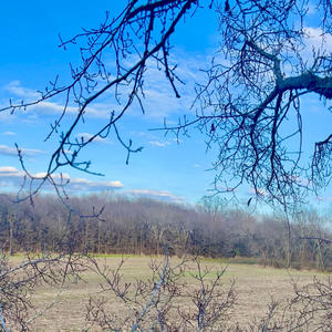 Crown-Pavo Real de Texas