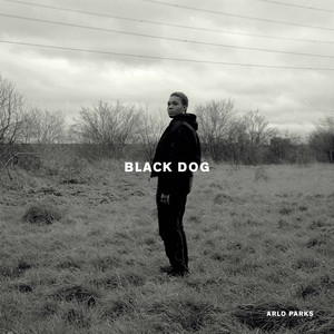 Black Dog (Explicit)